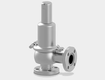 CS Flange End Safety Valve